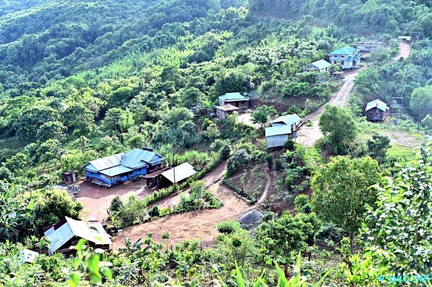 Kamjong District