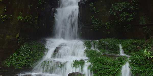 Tamenglong District